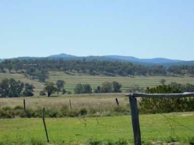 Farm Sold - QLD - Maryvale - 4370 - Lifestyle, Lifestyle, Lifestyle  (Image 2)