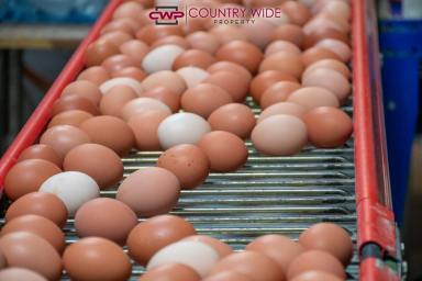 Farm Sold - NSW - Glen Innes - 2370 - River Gum Free Range Eggs  (Image 2)