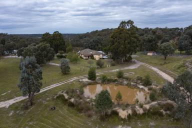 Farm Sold - VIC - Briagolong - 3860 - PRIVATE RURAL PROPERTY WITH VIEWS  (Image 2)