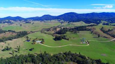 Farm Sold - NSW - Brooklana - 2450 - Eastern Dorrigo Riverfront Estate, 45* Minutes Coffs Harbour.  (Image 2)