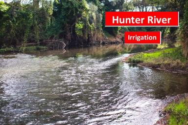 Farm Sold - NSW - Muswellbrook - 2333 - Irrigation & Cropping Property -Prime Land Fronting Hunter River,
Denman NSW  (Image 2)