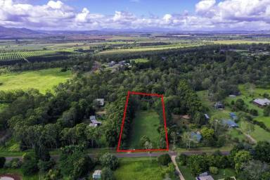Farm Sold - QLD - Tolga - 4882 - Opportunity is Knocking - Tablelands Address - On Over a Hectare of Flat Land - WOW!  (Image 2)