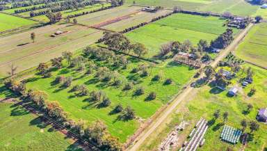 Farm Sold - VIC - Bamawm - 3561 - A cut above the rest  (Image 2)