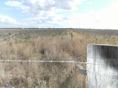 Farm For Sale - QLD - Dalby - 4405 - 100 ACRES OF HIGH IMPACT INDUSTRIAL LAND  (Image 2)