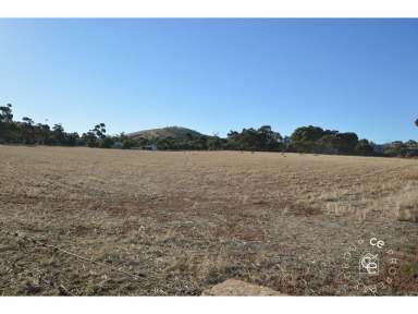 Farm Sold - SA - Palmer - 5237 - Prime position of 12 vacant allotments  (Image 2)