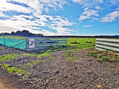 Farm Sold - TAS - Lower Barrington - 7306 - Rich in Potential - SOLD  (Image 2)