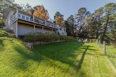 Farm Sold - VIC - Beaconsfield Upper - 3808 - THE PERFECT BALANCE IN THE HEART OF TOWN  (Image 2)