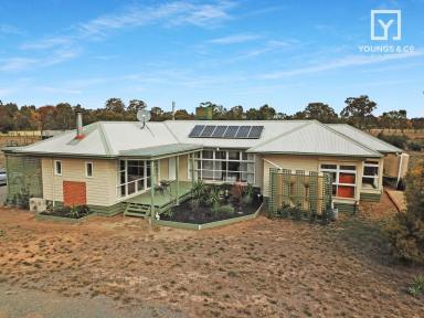 Farm Sold - VIC - Arcadia South - 3631 - Enjoy the Lifestyle - 4 Bedrooms + Study on 5 Acres  (Image 2)