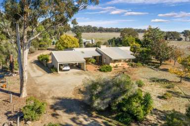 Farm Sold - VIC - Marong - 3515 - LIGHT-FILLED HOME ON 65 ACRES  (Image 2)