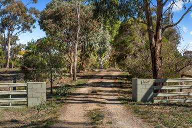 Farm Sold - VIC - Marong - 3515 - LIGHT-FILLED HOME ON 65 ACRES  (Image 2)
