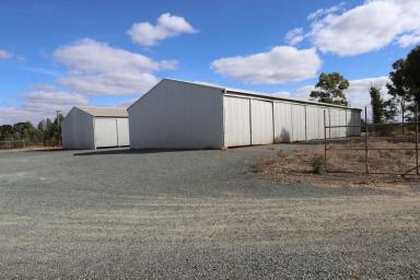 Farm For Sale - NSW - West Wyalong - 2671 - VENDOR KEEN TO SELL !  (Image 2)