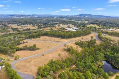Farm Sold - QLD - Tamaree - 4570 - ONLY 2 BLOCK LEFT  (Image 2)