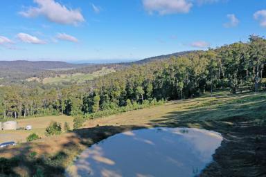 Farm Sold - TAS - Nugent - 7172 - Peace and privacy with a stunning rural panorama!  (Image 2)