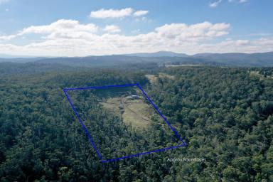 Farm Sold - TAS - Nugent - 7172 - Peace and privacy with a stunning rural panorama!  (Image 2)