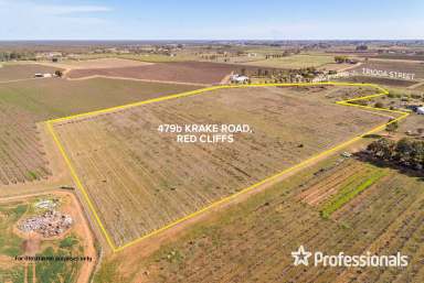 Farm Sold - VIC - Red Cliffs - 3496 - 12Ha (approx.) Vacant Land in Red Cliffs  (Image 2)