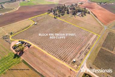 Farm Sold - VIC - Red Cliffs - 3496 - 12Ha (approx.) Vacant Land in Red Cliffs  (Image 2)