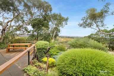 Farm Sold - SA - Blewitt Springs - 5171 - Breathtaking Views - Residence - Boutique Winery  (Image 2)