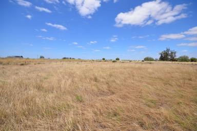 Farm For Sale - VIC - Macorna - 3579 - 1855M2 - (0.46 Acres) Two Titles One Price  (Image 2)