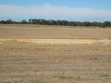 Farm Sold - SA - Bordertown - 5268 - Acres, Income only Minutes From Town  (Image 2)