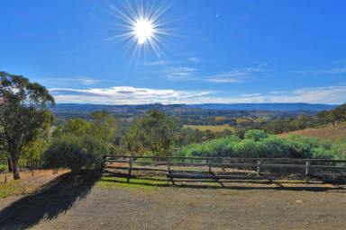 Farm Sold - VIC - Markwood - 3678 - MILLION DOLLAR VIEWS...THE HOUSE IS FOR FREE!  (Image 2)