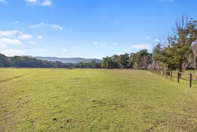 Farm Sold - VIC - Gladysdale - 3797 - 68 acres of rare horse country bliss  (Image 2)