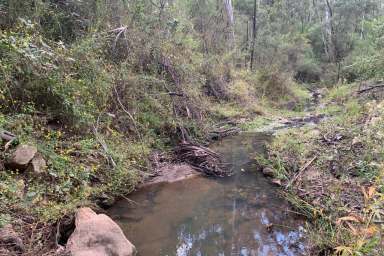 Farm Sold - NSW - Mudgee - 2850 - IDEAL WEEKENDER WITH SEASONAL CREEK  (Image 2)