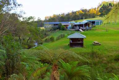 Farm Sold - NSW - Dorrigo - 2453 - "Nirvana" - Idyllic lifestyle property  (Image 2)