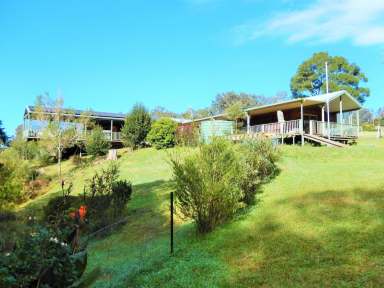 Farm Sold - NSW - Dorrigo - 2453 - "Nirvana" - Idyllic lifestyle property  (Image 2)