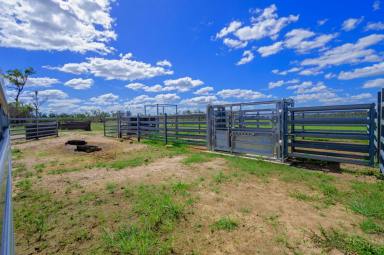 Farm Sold - QLD - South Kolan - 4670 - STARTER PROPERTY + WATER ALLOCATION | IDEAL FOR BEE&apos;S & GOATS  (Image 2)