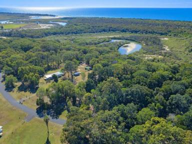 Farm Sold - QLD - Coonarr - 4670 - BUSH AND BEACH  (Image 2)