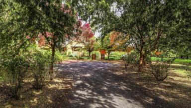 Farm Sold - NSW - Dubbo - 2830 - Picturesque Rural Hideaway in Sought After Location  (Image 2)