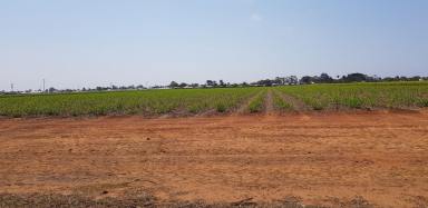 Farm For Sale - QLD - Woongarra - 4670 - Potential Subdivision Project  (Image 2)