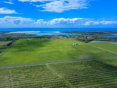 Farm Sold - QLD - Elliott Heads - 4670 - HAVE A COUNTRY ESTATE JUST 800M TO ELLIOTT RIVER BOAT RAMP  (Image 2)
