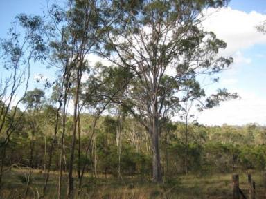 Farm Sold - QLD - South Kolan - 4670 - SELECTIVELY CLEARED 9.8 ACRES  (Image 2)