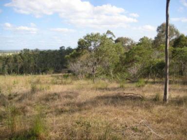 Farm Sold - QLD - South Kolan - 4670 - SELECTIVELY CLEARED 9.8 ACRES  (Image 2)
