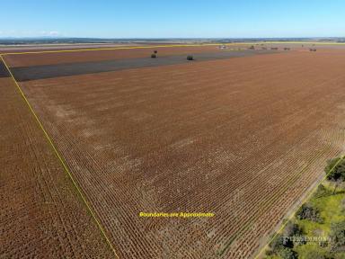 Farm Sold - QLD - Jandowae - 4410 - Quality Brigalow/ Belah Cultivation Enterprise  (Image 2)