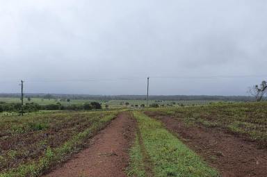 Farm Sold - QLD - Bucca - 4670 - MAGNIFICENT VIEWS  (Image 2)