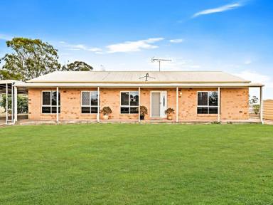 Farm Sold - QLD - Cambooya - 4358 - Country Lifestyle with city convenience  (Image 2)