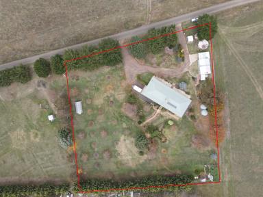 Farm Sold - VIC - Omeo - 3898 - MAGNIFICENT HOME ON 2.3 ACRES  (Image 2)