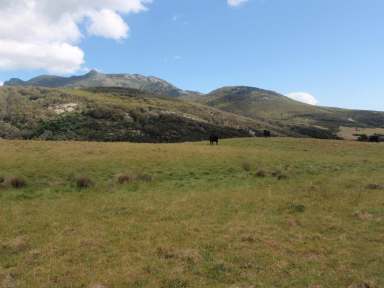 Farm Sold - TAS - Flinders Island - 7255 - Grey Crags  (Image 2)