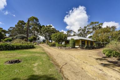 Farm Sold - SA - Suttontown - 5291 - Country Lifestyle On The City Limits  (Image 2)
