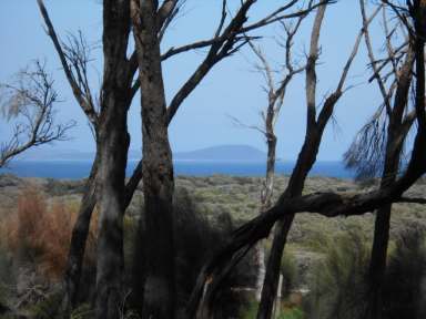 Farm Sold - TAS - Flinders Island - 7255 - Robertdale  (Image 2)