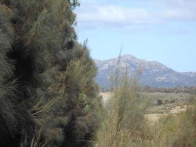 Farm Sold - TAS - Flinders Island - 7255 - Large Bush block  (Image 2)