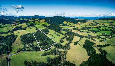 Farm Sold - NSW - Dorrigo - 2453 - Perfect project home - appealing location - 3.29ha (8.13ac)  (Image 2)