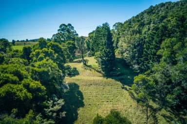 Farm Sold - NSW - Dorrigo - 2453 - Perfect project home - appealing location - 3.29ha (8.13ac)  (Image 2)