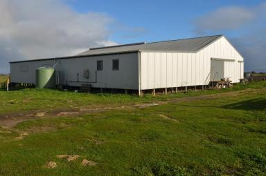 Farm Sold - SA - Millicent - 5280 - FOR LEASE - EXPRESSIONS OF INTEREST  (Image 2)