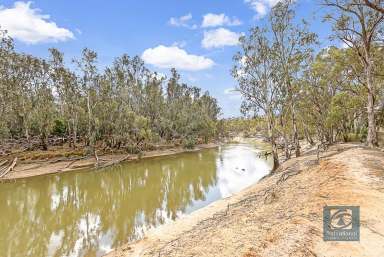 Farm Sold - VIC - Echuca - 3564 - Goulburn River Lifestyle Awaits!  (Image 2)