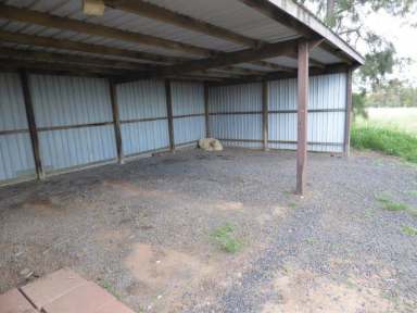 Farm Sold - QLD - Jandowae - 4410 - Small parcel of land - good soil, water abundance, home & sheds  (Image 2)