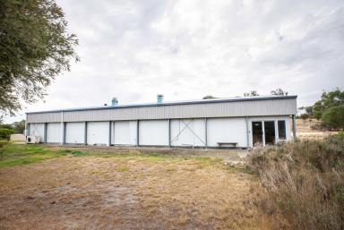 Farm For Sale - SA - Naracoorte - 5271 - THE OPPORTUNITIES ARE ENDLESS  (Image 2)