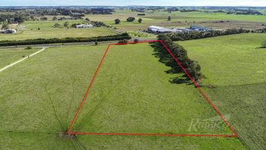 Farm For Sale - SA - Mount Gambier - 5290 - Green Field Site  (Image 2)